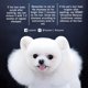 thumbnail image 4 of Shampoo morado blanqueador para perros y gatos OPAWZ 500 ml, 4 of 7