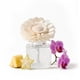 thumbnail image 1 of Difusor de Aroma Scentsy Dainty Daisy – Flor de Bora Bora, 1 of 6