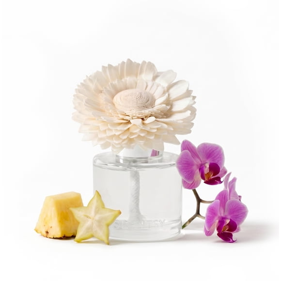 Difusor de Aroma Scentsy Dainty Daisy – Flor de Bora Bora