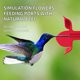 thumbnail image 4 of Alimentador de colibrí Billion Sky 780 ml Rojo con foso anti hormigas, 4 of 7