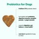 thumbnail image 2 of Microingredientes masticables probióticos para perros 240 unidades, 2 of 7
