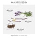 thumbnail image 4 of Perfume Mauboussin Original Homme Eau de Parfum para hombre, 100 ml, 4 of 6