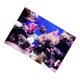 thumbnail image 2 of Pecera Acuario Pegatina Adhesivo 3D Cartel Decoración Fondo 61x41cm, 2 of 5