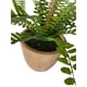 thumbnail image 3 of Helecho Espada 61cm Artificial, 3 of 3