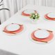 thumbnail image 5 of REGALWOVEN Juego de 4 manteles individuales de granja, manteles de ratán para decoración de mesa de comedor, interior y exterior, mantel de cocina naranja 14*14in, 5 of 5