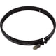 thumbnail image 1 of Anillo de sujeción Pentair American Product/Pacfab Titan/FNS, 1 of 2