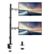 thumbnail image 1 of Soporte para dos monitores vertical extendido, 1 of 3
