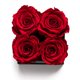 thumbnail image 4 of Rosas preservadas para siempre en jarrón con espejo Soho Floral Arts, 4 of 6