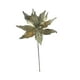thumbnail image 1 of Poinsettia Champagne 30cm, 1 of 2