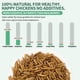 thumbnail image 2 of Larvas secas de mosca Black Soldier, 2,27 kg, para pollos y mascotas, 2 of 7
