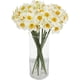 thumbnail image 2 of Xiao Hua Juego de 6 Flores Artificiales de Narciso, Decoración de Flores de Seda Simulada de Primavera, Adecuada para Decoración Del Hogar y Bodas, Blanca, 2 of 4