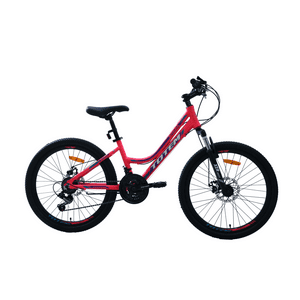 Bicicleta Totem Mtb Aro 24 Modelo Sitara Fucsia