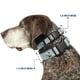 thumbnail image 2 of Collar para Perro Buckle-Down Moana HEI HEI 28-42 cm Ancho 2.5 cm, 2 of 8