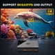 thumbnail image 5 of Videoconsola Kinhank Super Console X5 PRO 16000+ Games 8K, 5 of 7