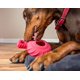 thumbnail image 3 of Juguete para perro Jolly Pets JTR23 de goma resistente 15 cm rojo, 3 of 5