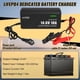 thumbnail image 2 of Cargador BROODAY LiFePO4 para batería de 12 V, 2 of 3
