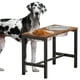 thumbnail image 1 of Cuencos elevados para perros Piskyet extra grandes con 2 cuencos extragrandes, 1 of 3