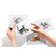 thumbnail image 2 of Juego de 12 tarjetas en blanco con diseños de gatos – Twigs Paper – tamaño A2, 2 of 9