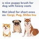 thumbnail image 5 of Cepillo de grooming para mascotas con aspiradora, removedor de pelo para perros y gatos Gforest, 5 of 9