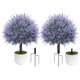 thumbnail image 1 of Set de 2 topiarios de lavanda de 63 cm con macetas – LuceAlberi, 1 of 9