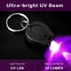thumbnail image 2 of Linterna LED UV RaySoar, 395 nm, 6 unidades, luz negra, 2 of 6