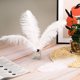 thumbnail image 4 of Uxcell 100 Pcs Plumas de Avestruz Naturales a Granel 8-10 Pulgadas Plumas de Avestruz Grandes para Manualidades Decoración del Hogar Blanco, 4 of 7