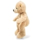 thumbnail image 2 of Oso De Peluche Steiff Fynn Beige 28 cm, 2 of 2