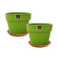 thumbnail image 1 of Set de 2 Maceta Greta 19cm Apio y sus platos, 1 of 3