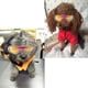 thumbnail image 3 of Gafas protectoras para perros (nueva versión) para perros pequeños, gafas de sol impermeables, resistentes al viento y con protección UV para cachorros, gatos y perros., 3 of 7
