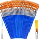 thumbnail image 1 of 162 Pcs Paint Brushes Bulk, Round Flat Tip Acrylic Paint Brushes, 1 of 3