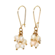 thumbnail image 1 of Aros largos ramillete Marella perlas de rio chapada en oro 18k Riviere, 1 of 3