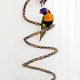 thumbnail image 4 of Perchas de cuerda para pájaros, juguetes para loros, cuerda elástica, juguete para pájaros de 1 m, 4 of 8