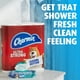 thumbnail image 5 of Toallitas desechables Charmin 480 en total (12 paquetes de 40), 5 of 8