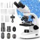 thumbnail image 1 of Microscopio binocular compuesto PalliPartners con aumento 40X-2000X, 1 of 7