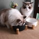 thumbnail image 5 of Cuencos para mascotas, juego de cuencos de cerámica para perros y gatos con soporte de madera para comida y agua, cuencos antideslizantes y bonitos para mascotas., 5 of 6