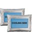 thumbnail image 1 of Bolsas de Hielo HORAY WORLD XL (2 unidades) para Chaleco Refrigerante, 1 of 8