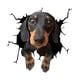 thumbnail image 4 of Pegatinas De PVC Para Perros, Calcomanías Para Grietas De Coches, Adhesivos Para Ventana De Mascotas Para Pared, Nevera, Camión D, 4 of 5