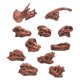 thumbnail image 5 of Modelo De Calavera De Dinosaurio Fósil Simulado Decoración Del Hogar Utilería De Enseñanza Decorativa Marrón, 5 of 5