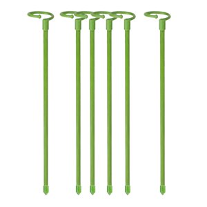 Ioensy - 6 Piezas De 30 Cm, Estacas De Soporte Para Plantas, Plantas Fijas Para Flores De Interior Y Balcón