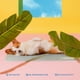 thumbnail image 4 of Tapete refrescante para mascotas The Green Pet Shop Cool Pet Pad grande, 4 of 6