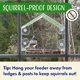 thumbnail image 3 of Comedero de pájaros para ventana Nature's Hangout con ventosas transparentes, 3 of 8