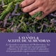 thumbnail image 4 of Shampoo Herbal Essences Lavanda & Aceite de Almendras, 600 ml, 4 of 6