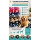 thumbnail image 4 of Frazada Manta Polar Mascotas Perros 90x120 Cm Lavable Hogar, 4 of 12