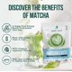 thumbnail image 2 of Café con leche orgánico sin azúcar Tea Jade Leaf Matcha 150 g, 2 of 6