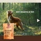 thumbnail image 4 of Goofy Bocadito Natural De Pato Snack Perro X 20 Gramos, 4 of 6