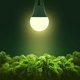 thumbnail image 2 of Briignite Grow Light Bulbs, LED Grow Light Bulb A19, luz de cultivo de espectro completo, 2 of 3