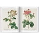 thumbnail image 3 of Roses · Redouté · Pocket Book, 3 of 5