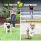 thumbnail image 3 of Pelotas de tenis Hyper Pet 4,4 cm pack de 4 verde, 3 of 7