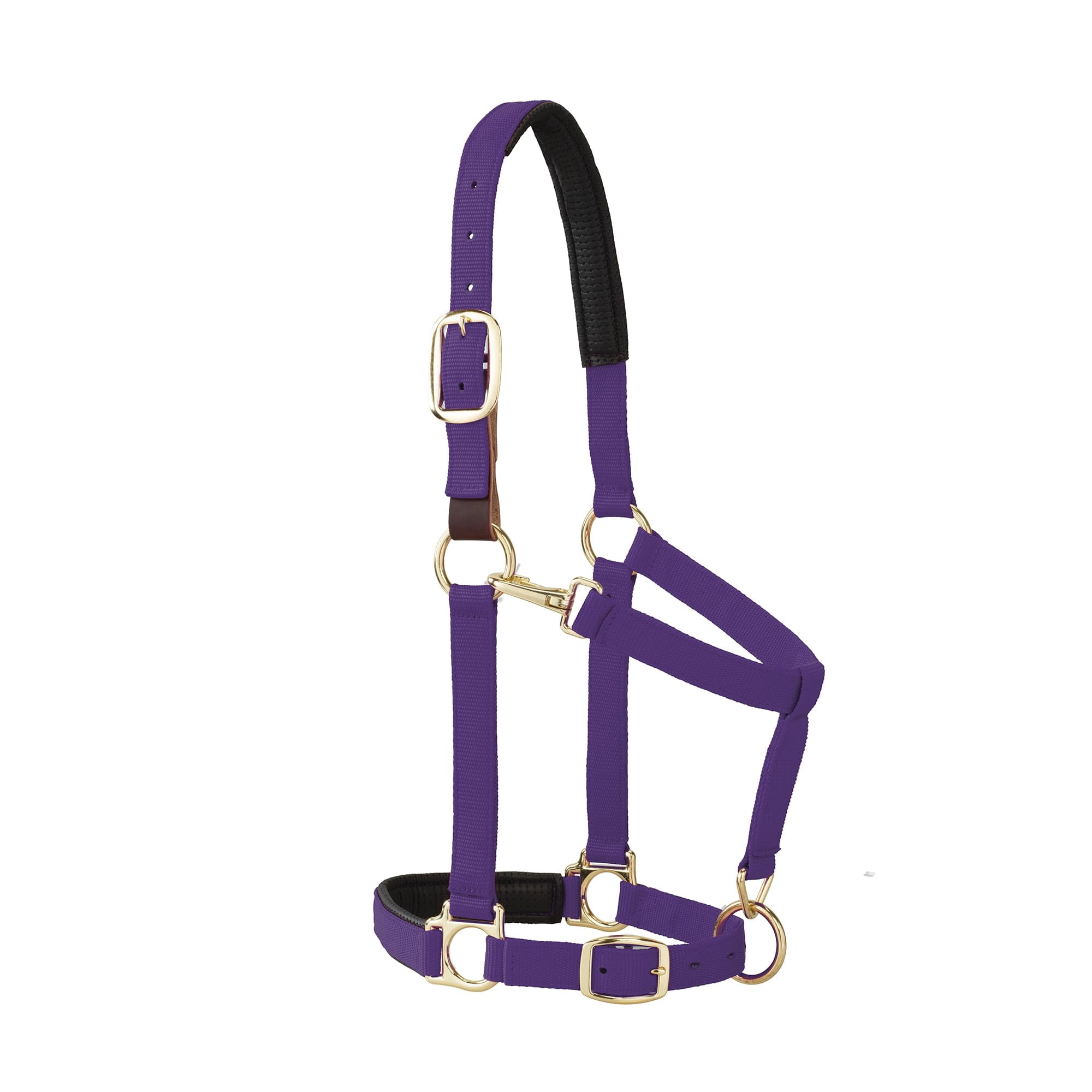 Cabezada Weaver Equine Desprendible de Espuma para Caballo – Morado