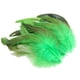 thumbnail image 4 of 50 Plumas Para Manualidades, Decoraciones Para Bodas, Fabricación De Joyas, Color Verde, 4 of 5